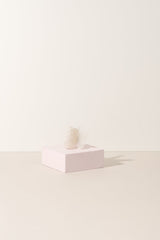 Sale - The Butterfly Collection