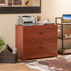 2-Drawer Lateral File Cabinet with Adjustable Bars for Home and Office-Walnut