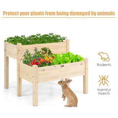 2 Tier Elevated Wooden Planter Box with Legs, Natural Fir Raised Garden Bed with Drain Holes