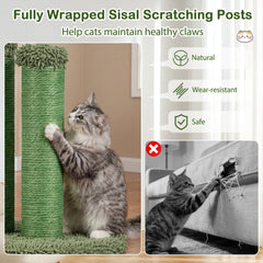 22 Inch Cactus Cat Scratching Post with Natural Sisal Rope and Dangling Ball, Green
