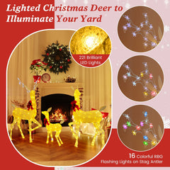 3 Pieces Lighted Family Deer Set with LED Lights and RGB Flashing Lights