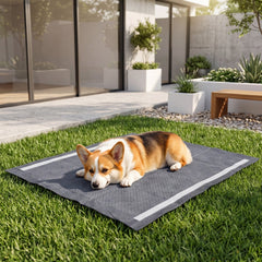 35.5 inches x 24 inches Charcoal Dog Pee Pads 6-Layer for Dogs-Black