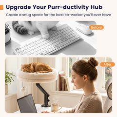 360° Rotating Cat Desk Bed for Indoor Cats with Removable Perch-White
