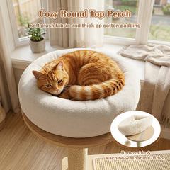 40 Inch Solid Rubber Wood Cat Tree with Space Capsule, Rotating Sisal Ball and Scratching Board, Natural