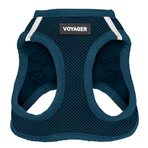 Best Pet Supplies Voyager Step-in Air Dog Harness-All Weather Mesh Step in Vest Harness for Small and Medium Dogs by Best Pet Supplies-Harness (Blue), XXX-Small