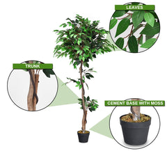 5.5 Foot Artificial Ficus Tree with Real Wood Trunks, 756 Leaf Silk Ficus