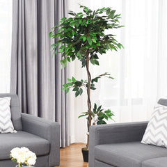 5.5 Foot Artificial Ficus Tree with Real Wood Trunks, 756 Leaf Silk Ficus