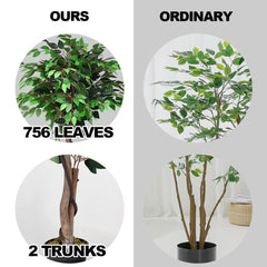 5.5 Foot Artificial Ficus Tree with Real Wood Trunks, 756 Leaf Silk Ficus