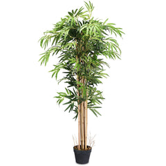 5 Foot Artificial Bamboo Tree, 8 Trunk Silk Bamboo in a 7 Inch Planter