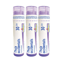 Boiron Thuja occidentalis 30ch.Homeopathic medicine 3 tubes (4g each tube)
