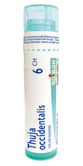 Boiron Thuja occidentalis 6ch,Homeopathic medicine. Each tube contains 4 g (approximately 80 pellets)