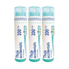 Boiron Thuya occidentalis 200ch.Homeopathic medicine 3 tubes (4g each tube)