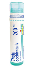 Boiron Thuja occidentalis 200ch,Homeopathic medicine. Each tube contains 4 g (approximately 80 pellets)