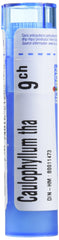 Boiron Caulophyllum thalictroides 9ch,Homeopathic medicine. Each tube contains 4 g (approximately 80 pellets)