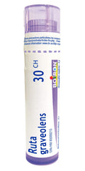 Boiron Ruta graveolens 30ch,Homeopathic medicine. Each tube contains 4 g (approximately 80 pellets)