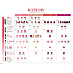 Burt’s Bees 100% Natural Lip Shine, Blush - 1 Tube