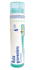 Boiron Ruta graveolens 6ch,Homeopathic medicine. Each tube contains 4 g (approximately 80 pellets)
