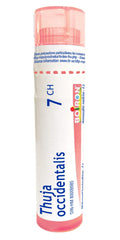 Boiron Thuja occidentalis 7ch,Homeopathic medicine. Each tube contains 4 g (approximately 80 pellets)
