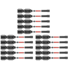 Bosch ITT20202 2 Pc. Impact Tough 2 in. Torx #20 Power Bits