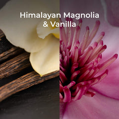 Botanica by Air Wick Plug in Scented Oil Starter Kit, 1 Warmer + 1 Refill, Himalayan Magnolia and Vanilla, Air Freshener, Essential Oils