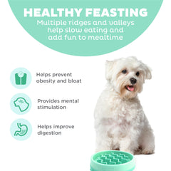 Outward Hound Fun Feeder Slo Bowl, Small Slow Feeder Dog Bowl, 3/4 Cups, Mini, Mint