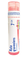 Boiron Ruta graveolens 7ch,Homeopathic medicine. Each tube contains 4 g (approximately 80 pellets)