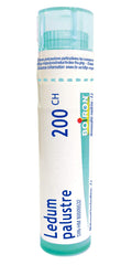 Boiron Ledum palustre 200ch,Homeopathic medicine. Each tube contains 4 g (approximately 80 pellets)