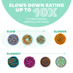 Outward Hound Fun Feeder Slo Bowl, Small Slow Feeder Dog Bowl, 3/4 Cups, Mini, Mint