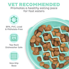 Outward Hound Fun Feeder Slo Bowl, Small Slow Feeder Dog Bowl, 3/4 Cups, Mini, Mint