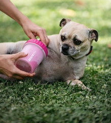 Dexas Dog Paw Cleaner, Small, Pink, Dog Accessories and Pet Supplies