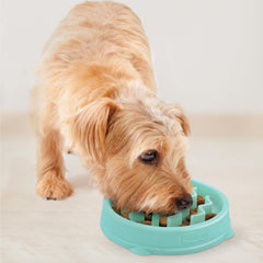 Outward Hound Fun Feeder Slo Bowl, Small Slow Feeder Dog Bowl, 3/4 Cups, Mini, Mint