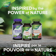 Nature's Way Zinc with Echinacea & Vitamin C 60 Lozenges
