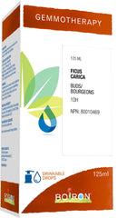 Boiron Gemmotherapy Ficus carica buds (fig) 1dh, homeopathic medicine. Format: 125 mL