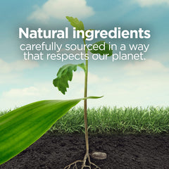 Botanica by Air Wick Plug in Scented Oil Starter Kit, 1 Warmer + 1 Refill, Himalayan Magnolia and Vanilla, Air Freshener, Essential Oils