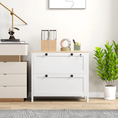 2 Drawer File Cabinet, Lockable Filing Cabinet with Adjustable Hanging Bar for Letter, A4 and Legal Size, Black