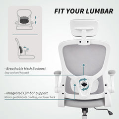 Ergonomic Office Chair, Mesh Desk Chair with Adjustable Headrest, Lumbar Support and Height, Flip-Up Armrests, Black