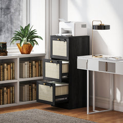 2 Drawer Filing Cabinet with Lock, Boho File Cabinet for A4 Letter Size Files with Decorative Rattan Accents, Oak
