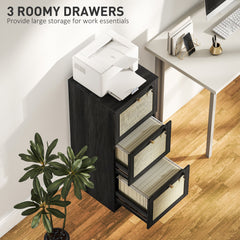 2 Drawer Filing Cabinet with Lock, Boho File Cabinet for A4 Letter Size Files with Decorative Rattan Accents, Oak