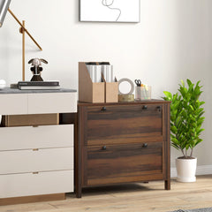 2 Drawer File Cabinet, Lockable Filing Cabinet with Adjustable Hanging Bar for Letter, A4 and Legal Size, Black
