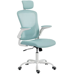Ergonomic Office Chair, Mesh Desk Chair with Adjustable Headrest, Lumbar Support and Height, Flip-Up Armrests, Black