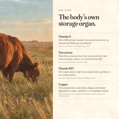 LiveRestore (Beef Liver) Bundle of 3