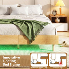 Twin/Full/Queen Size Floating Bed Frame with LED Lights for Bedroom-Queen