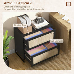 2-Drawer Filing Cabinet with Lock, Rattan File Cabinet with Adjustable Hanging Bar, Natural