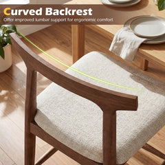Solid Wood Counter Stools with Curved Backs in Walnut, 24 Inch Seat Height