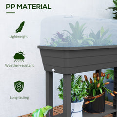 41L Self Watering Raised Garden Bed w/ Ventilation Transparent Lid Greenhouse, Planter Box w/ Storage Shelf, Black
