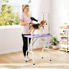 Foldable Pet Grooming Table for Dogs Cats with Adjustable Arm, Non-slip Surface, Black