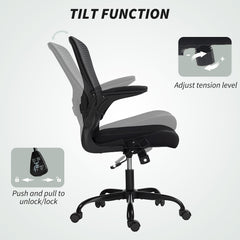 Ergonomic Mesh Office Chair with 4D Lumbar Support, Swivel Desk Chair with Flip-up Armrests, Tilt Function, Black