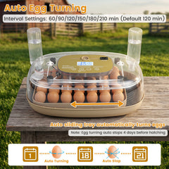 Egg Incubator with Temp and Humidity Control
