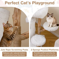 30.5 Inch White Cat Tower with a Two Storey Condo and Pear Wood Posts