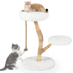 White Cat Tree 35.5 Inches on a Pear Wood Trunk with Two Round Beds